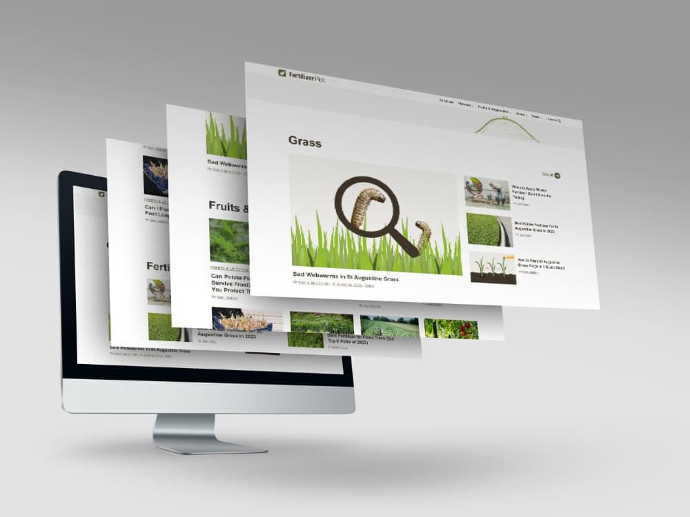 Business Consulting Website